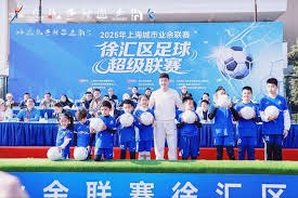 意甲20252026赛季主场积分榜详细分析
